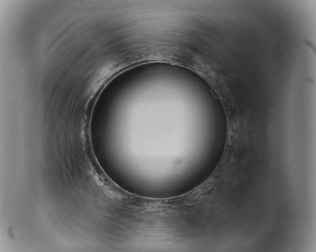 X0000099470098200805161120