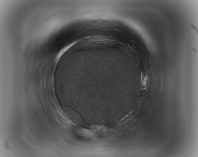 X0000099470099200805161120