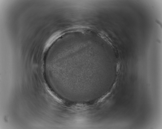 X0000099470101200805161120