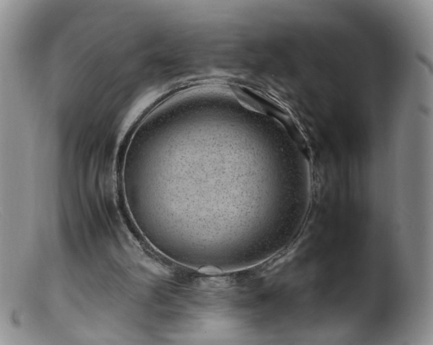 X0000099470102200805161120