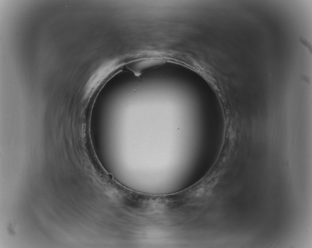 X0000099470103200805161120