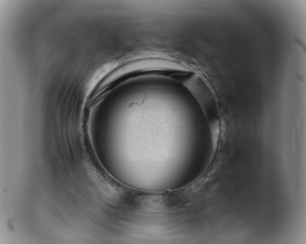 X0000099470104200805161120