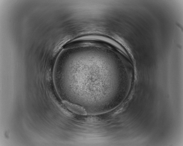X0000099470105200805161120