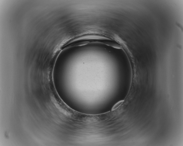 X0000099470106200805161120