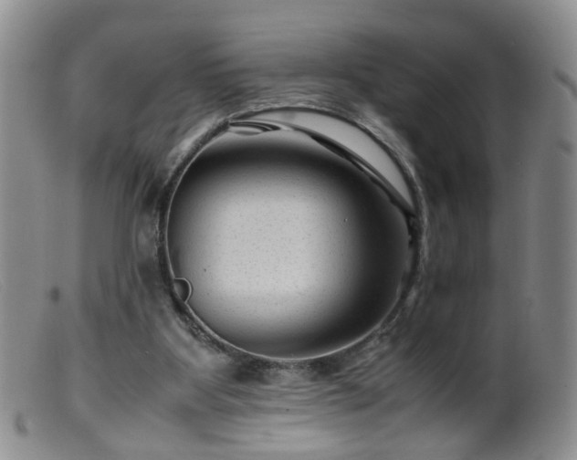 X0000099470107200805161120