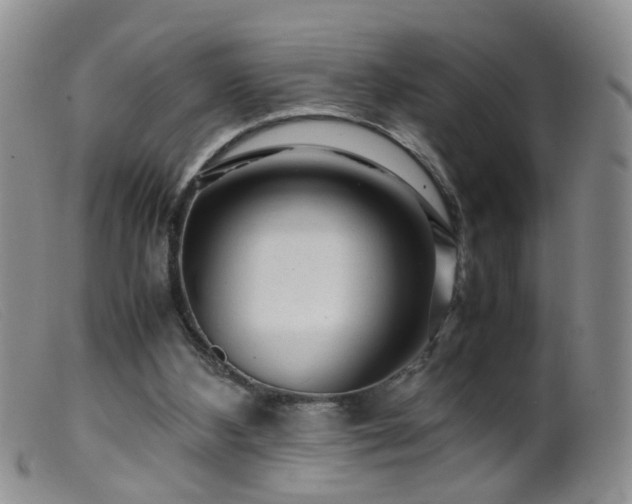 X0000099470108200805161120