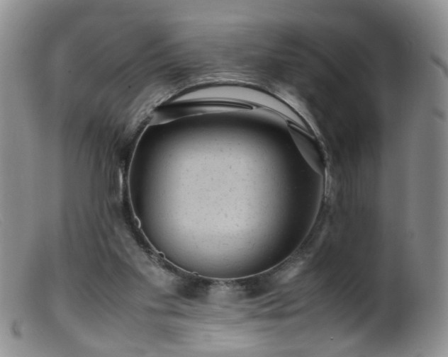 X0000099470109200805161120