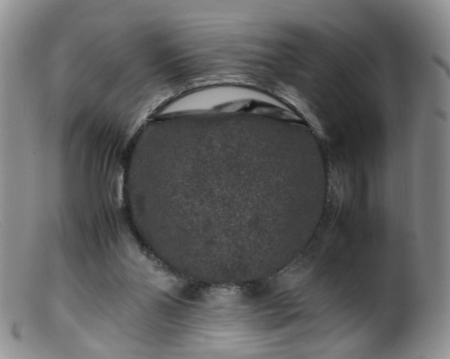 X0000099470110200805161120