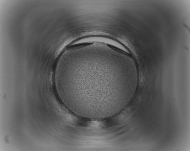 X0000099470111200805161120