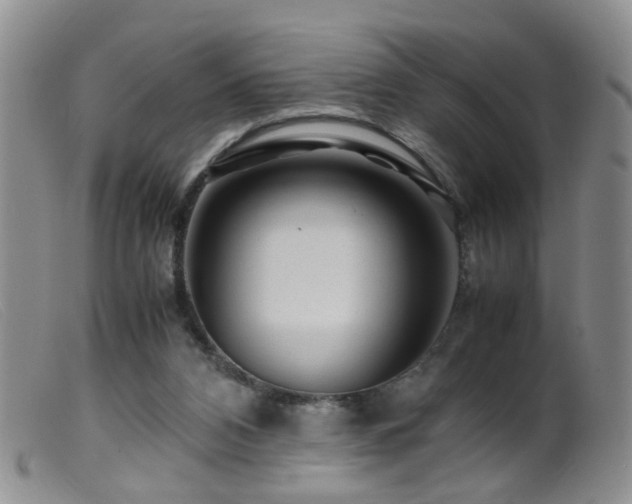 X0000099470112200805161120