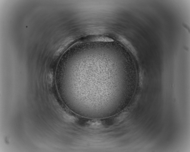 X0000099470113200805161120
