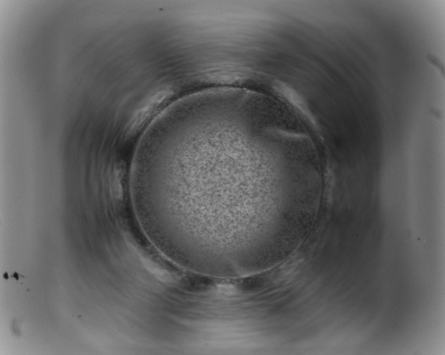 X0000099470114200805161120
