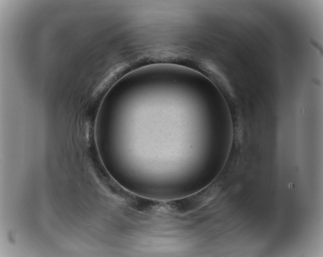 X0000099470115200805161120