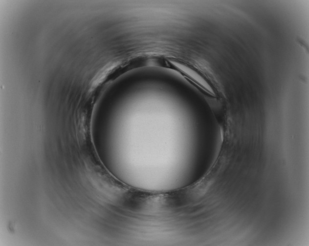 X0000099470116200805161120