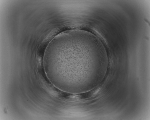 X0000099470117200805161120