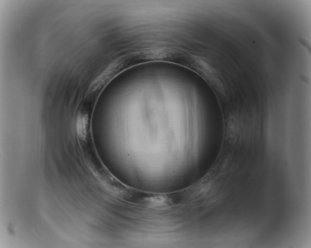 X0000099470118200805161120