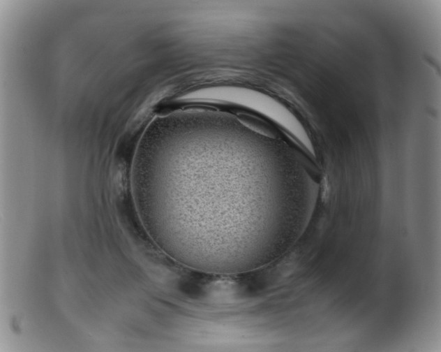 X0000099470119200805161120