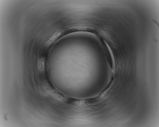X0000099470120200805161120