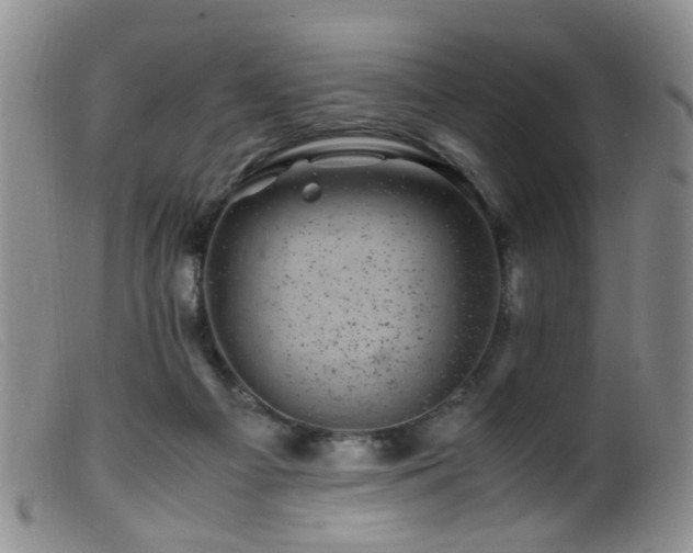 X0000099470121200805161120