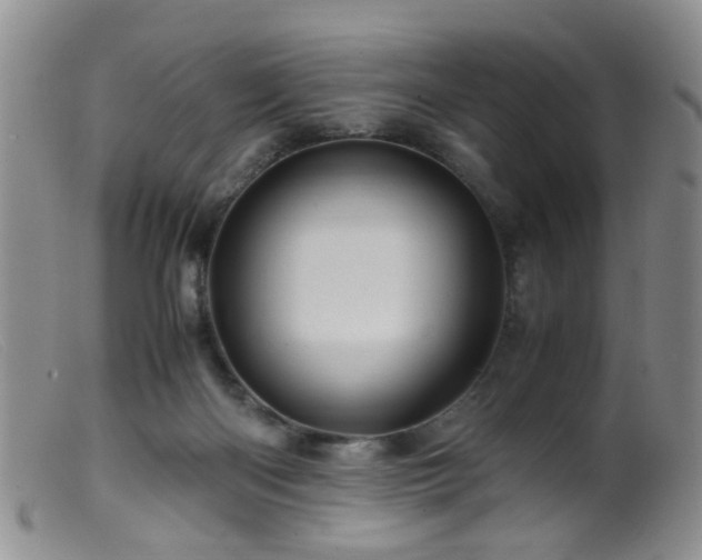 X0000099470122200805161120