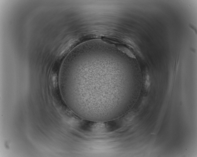 X0000099470123200805161120