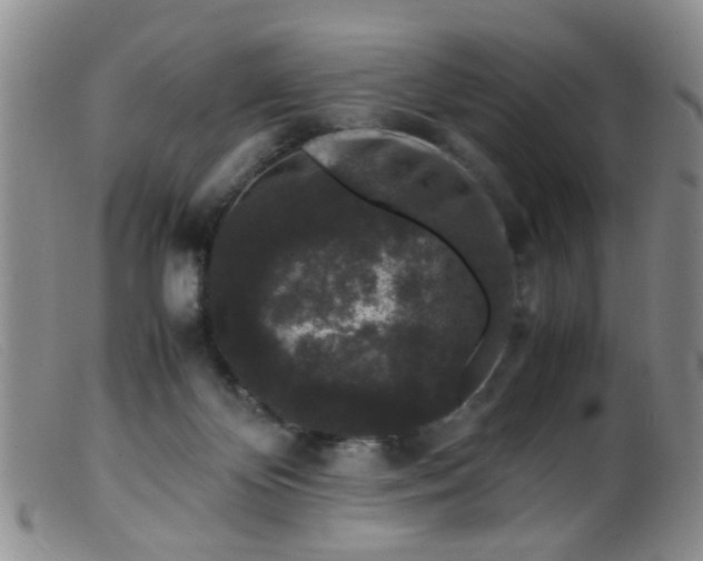 X0000099470124200805161120