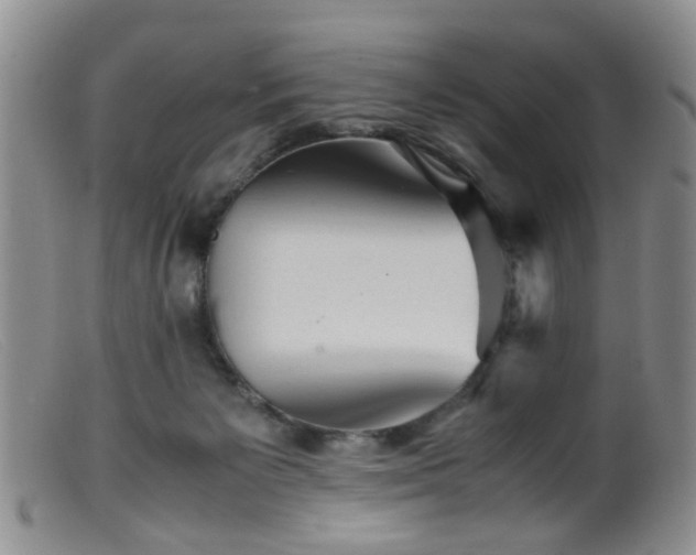 X0000099470125200805161120