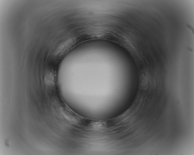 X0000099470126200805161120