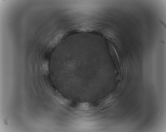 X0000099470127200805161120