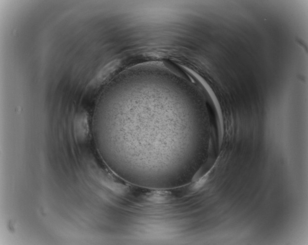 X0000099470128200805161120