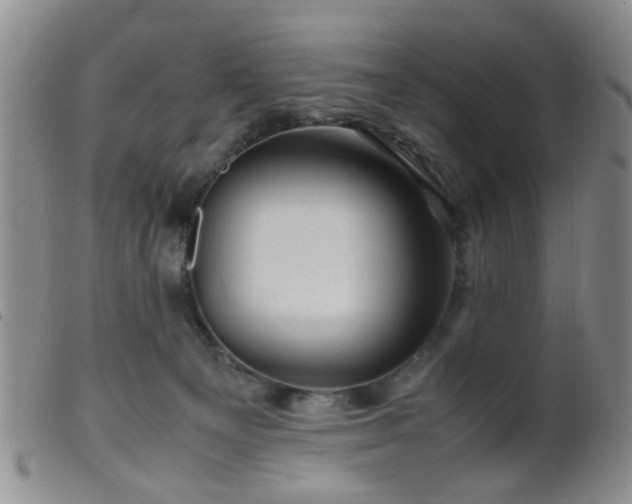 X0000099470129200805161120
