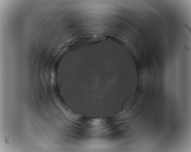 X0000099470130200805161120