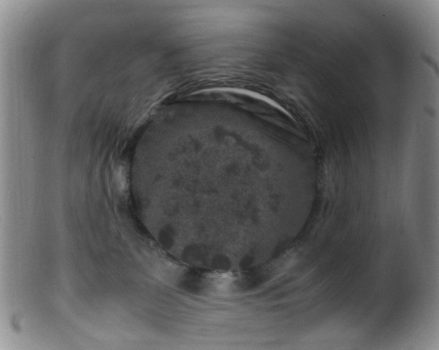 X0000099470131200805161120