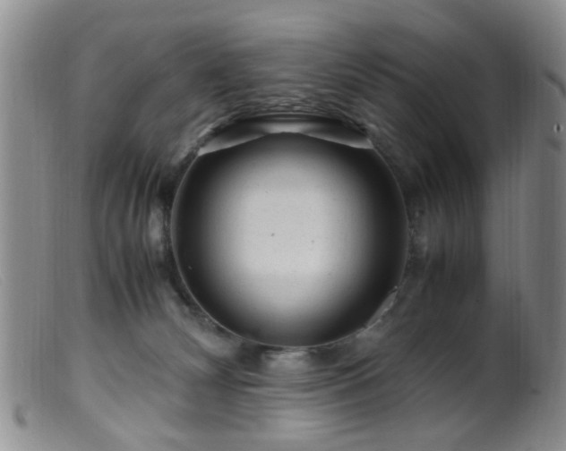 X0000099470132200805161120