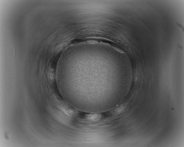 X0000099470135200805161120
