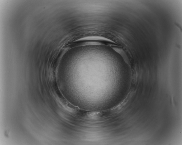 X0000099470136200805161120