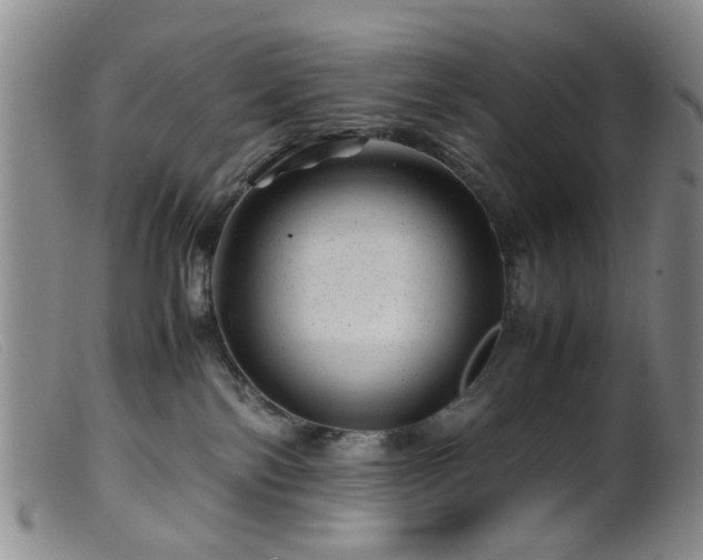 X0000099470138200805161120