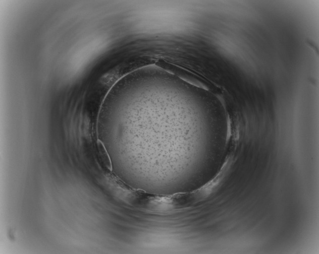 X0000099470140200805161120
