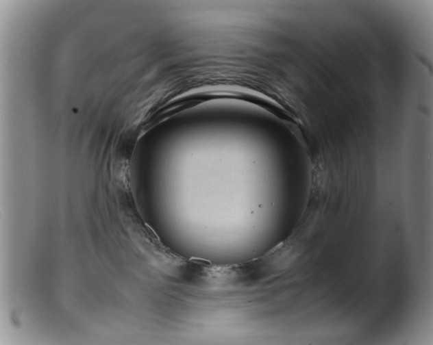 X0000099470141200805161120