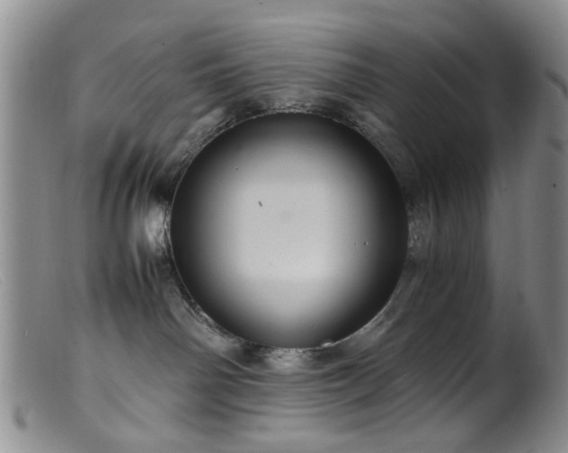 X0000099470142200805161120