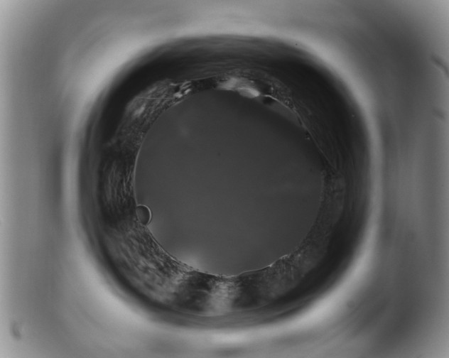 X0000099470143200805161120