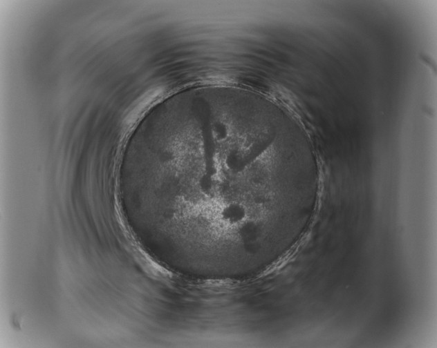 X0000099470145200805161119