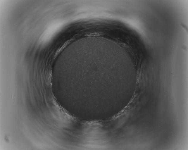 X0000099470146200805161119