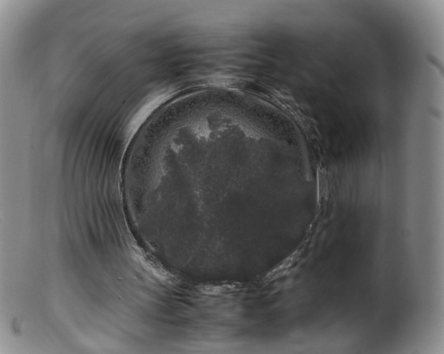 X0000099470147200805161119