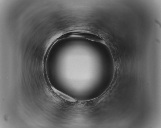 X0000099470148200805161119