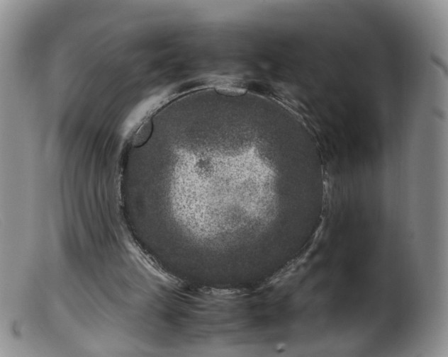 X0000099470149200805161119