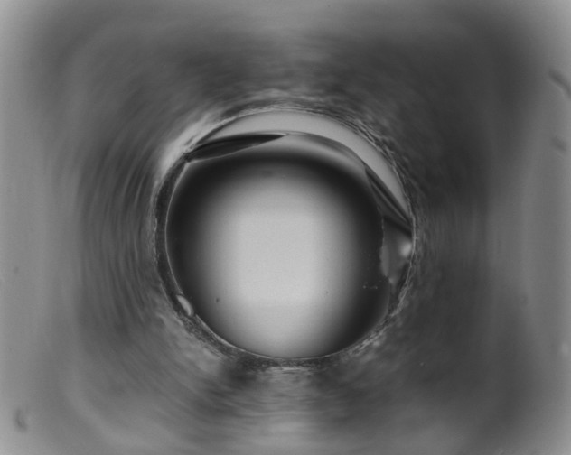 X0000099470150200805161119