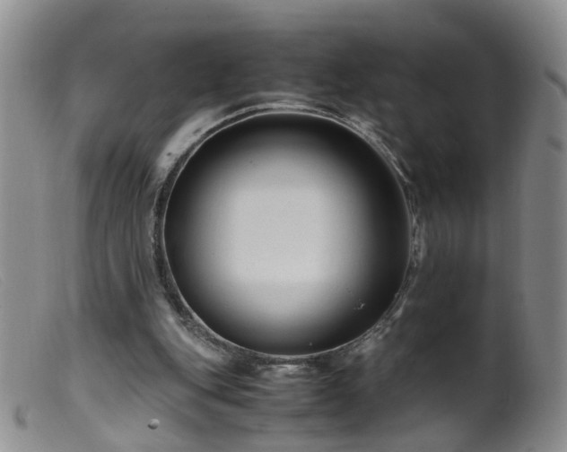 X0000099470151200805161119
