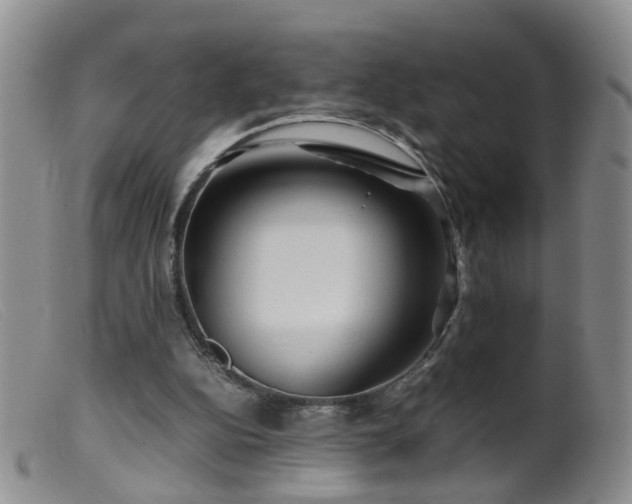 X0000099470152200805161119