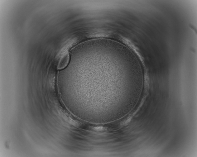 X0000099470153200805161119